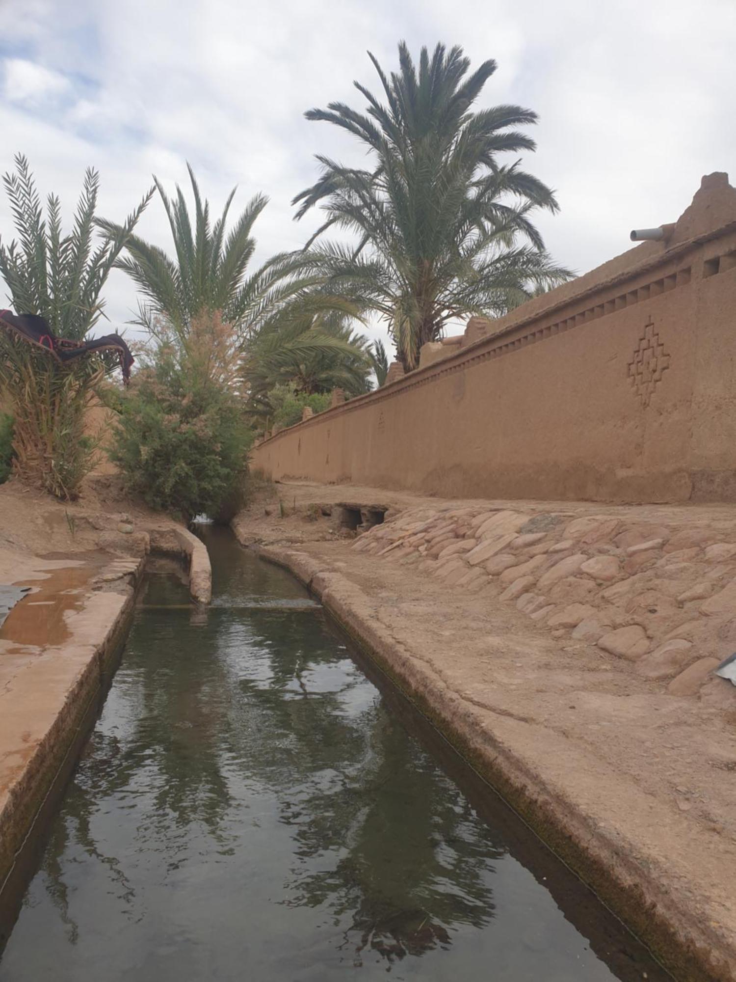 Gite Kasbah La Palmeraie Hotel Skoura Exterior photo