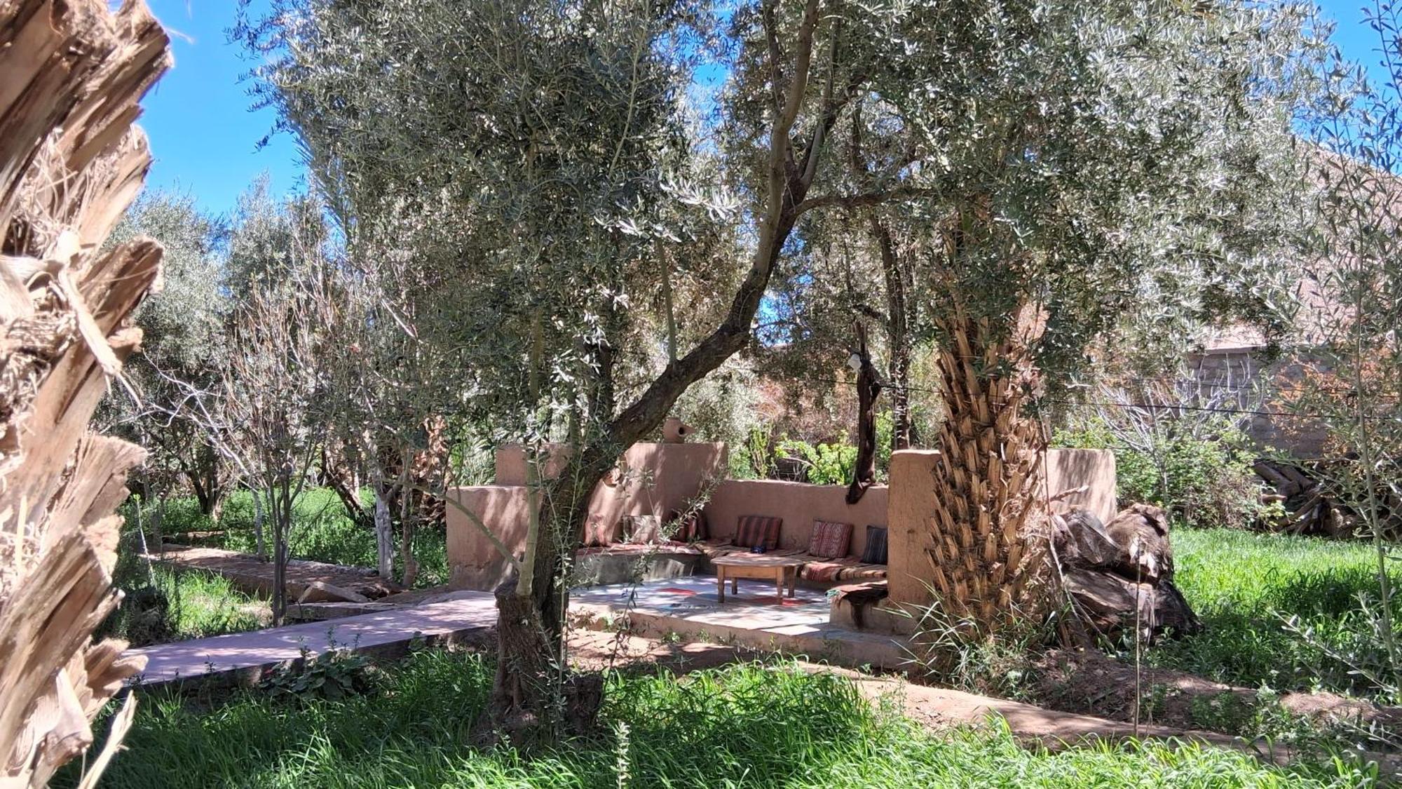 Gite Kasbah La Palmeraie Skoura Exterior photo