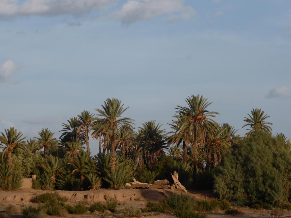 Gite Kasbah La Palmeraie Hotel Skoura Exterior photo