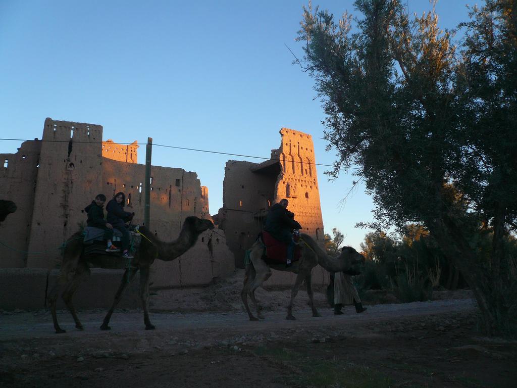 Gite Kasbah La Palmeraie Hotel Skoura Exterior photo