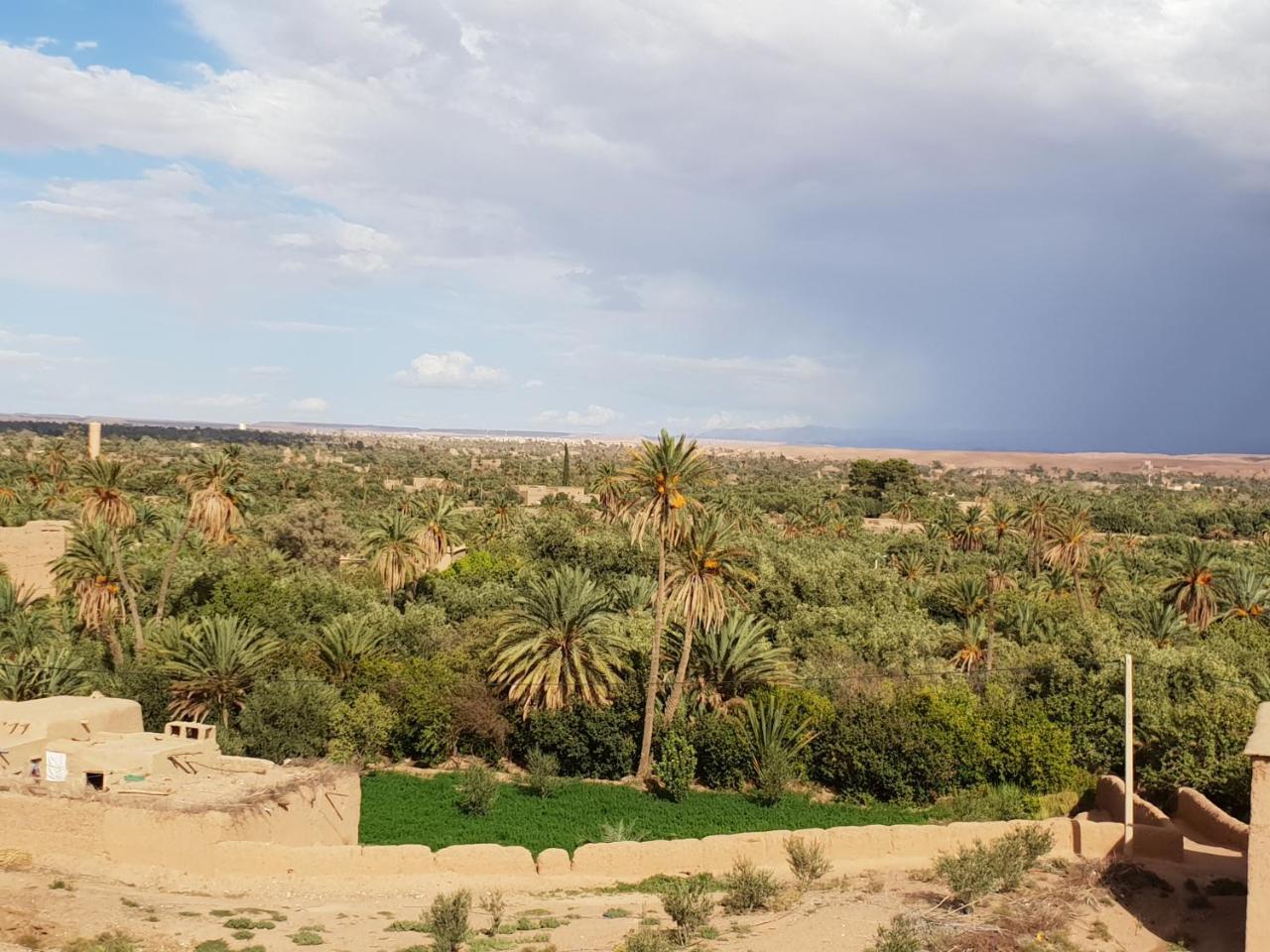 Gite Kasbah La Palmeraie Hotel Skoura Exterior photo